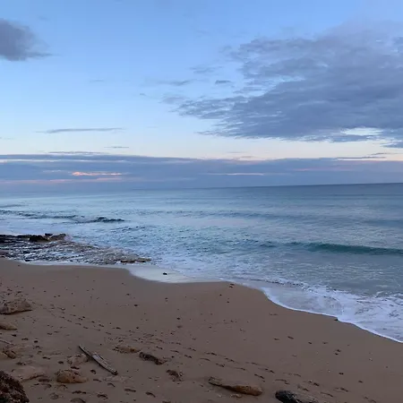 Holly Marina di Lizzano